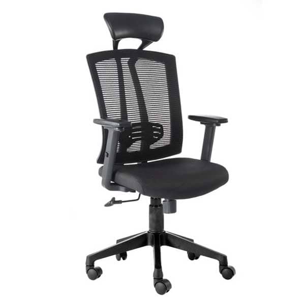 Reuben Computer Office Chair