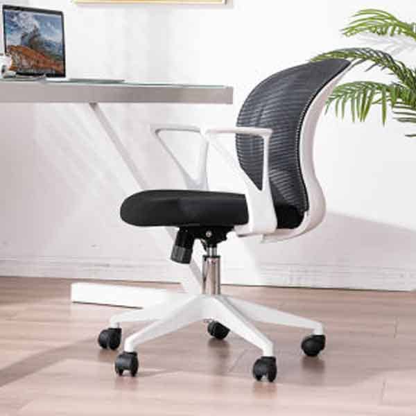 Hunan Modern Computer Chair Low Back