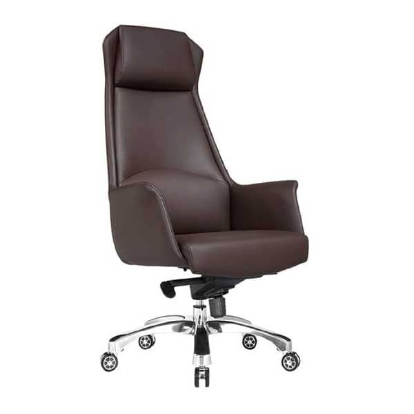 Harry Curve CEO Chair